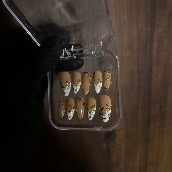 Brown with white French And Golden Crome